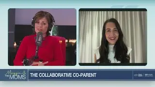The Collaborative Co-parent
