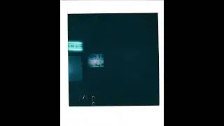 Fog Lake &ndash; always often