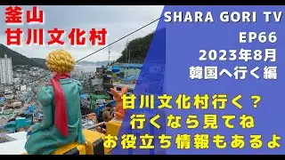 SHARA GORI TV【EP66】2023年8月韓国へ行く編 釜山 甘川文化村