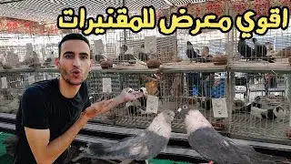 رحت لاول مرة معرض للحمام المقنيرات الاول في مصر😃اي الجمال ده (تغطيه كامله)