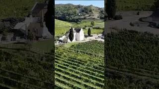 Dom&auml;ne Wachau: Austria&rsquo;s Legendary Wine Escape