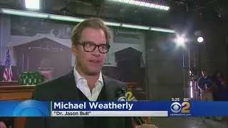 &lsquo;Bull&rsquo; Is Not What You Think
