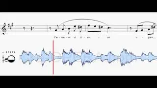 Donizetti - RITA - E' lindo e civettin - COMPLETE SYNCHRONIZED VIDEO PIANO BASE