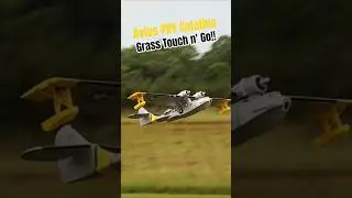 Avios PBY Catalina Grass Touch n' Go! #new #aviation #rcplane