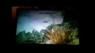 Random Dragon Fight