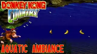 1 HOUR AQUATIC AMBIANCE THEME SLEEP/RELAX/STUDY - DONKEY KONG COUNTRY (SNES)