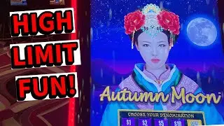 WE TAKE A SHOT at A Big Win on A Dragon Link Slot. #slots #games #casino #gaming #win #fun #jackpot