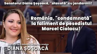 Diana Șoșoacă a devenit &bdquo;inamicul public numărul 1&rdquo; al PNL și PSD.