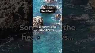 Heartbreak.... #shorts #facts #deep #couple #viral #relationship