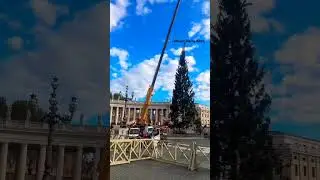 Vatican Christmas tree arrives at St Peter's square #christmas #vaticano #rome #christmastree