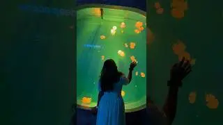 A day in Marine kingdom🐟📍 #tamil #love #song #trending #shorts #youtubeshorts #marine #vlogs