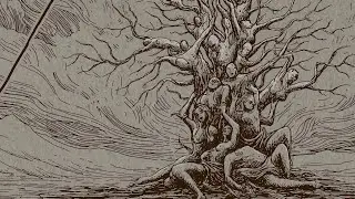 Sol Sistere - Nothofagus (Lyric Video)