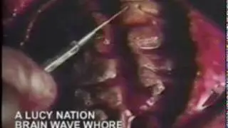 Brainwave whore - A Lucy Nation