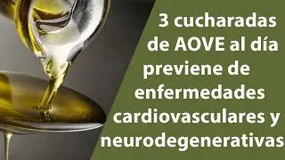 Cómo Prevenir Enfermedades con Aceite de Oliva Virgen Extra | AOVE
