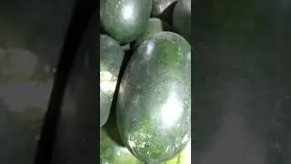three types of watermelon #Shorts