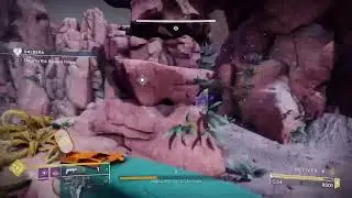 Destiny 2 road to max level