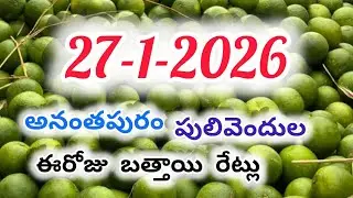 27-1 ఈరోజు బత్తాయి రేట్లు|today orange rate in Anantapur,pulivendula  || today mosambi rate in Delhi