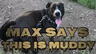 Max's Epic Mud Adventure