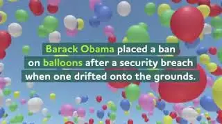 Weird Facts About All The Strange Items Once Banned From The White House 🏛 UberFacts