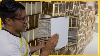 O INICIO AGROPET CRIAT&Oacute;RIO ALC&Acirc;NTARA