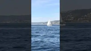Sailing with Josh and Katie, January 18, 2026