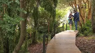 Frutillar: el relajo frente al Lago Llanquihue