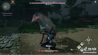 Where Winds Meet - Horse Tamer - No Hit Run - Abyss Trial