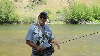 Tailwater or Freestone? Knowing What River You Are Fishing Will Determine How Your Will Fly Fish it.