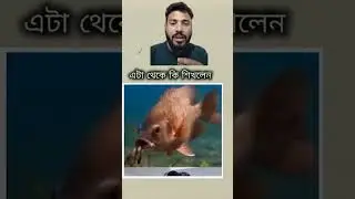 Fish reaction 😅😂___😂#comedy #funny #comedy #funny #facebook #reel #vidio #viral #bangla #viralreels