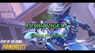 just Prindagelf being awesome