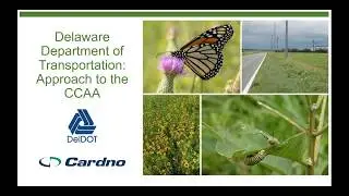 Delaware Department of Transportation: Approach to the CCAA - January 9, 2020