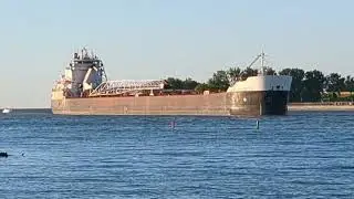American Courage Coming Off Bay Heading Downriver #viralvideos #ships #americancourage #foryou