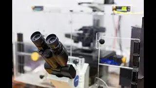 Biosafety in CAF Fluorescence Microscopy Unit