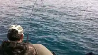 Spinning al tonno - Tuna on stickbait 4