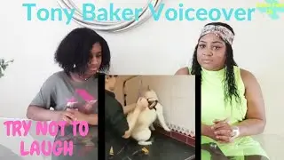 TRY NOT TO LAUGH CHALLENGE! TONY BAKER VOICEOVER! Reaction!