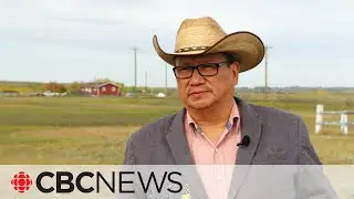 This First Nation in Alberta is fighting climate change with rows and rows of trees