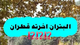 البتران آخرته قطران ⁉️⁉️⁉️