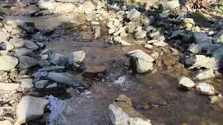 Peaceful Stream Among the Rocks &ndash; Loop This ASMR for Endless Natural Calm