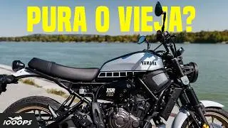Yamaha XSR700: el &uacute;ltimo basti&oacute;n del purismo