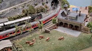 Rheinland Bayern Bahn Show Video