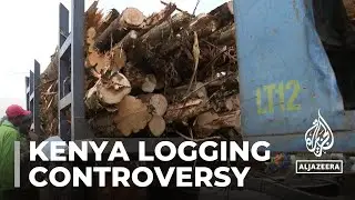 Alarm after Kenya gov&rsquo;t lifts ban on commercial logging