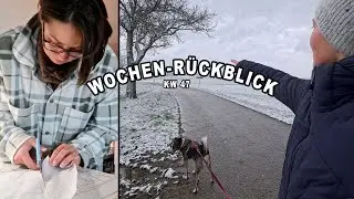 WEEKLY VLOG: Basic-Longsleave f&uuml;r meine Rundhals-Pullover n&auml;hen, 1. Schnee & ein neues Strickprojekt