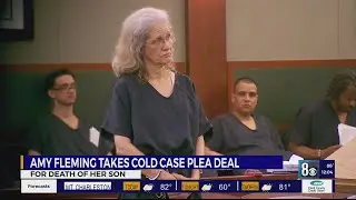Amy Fleming takes cold case plea deal for death of her son