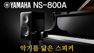 야마하의 본격 하이엔드 북쉘프 스피커 YAMAHA NS-800A 리뷰 및 청음영상