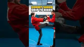 COMBAT SAMBO Grip to Kicks #sambo #combatsambo #mma #muaythai