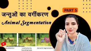 Animal Segmentation | Part 5 | Mujahida Parveen Saifi