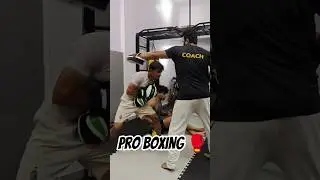 pro boxing combo #fastpunches #proboxing #mma #boxer