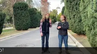Tree Exploration