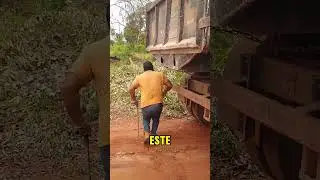 Nobody believed him driving a truck #trucks #brazil #amazing