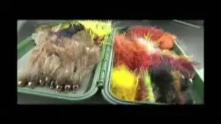 Fly Fishing Colorado: Fall Streamer Fishing
